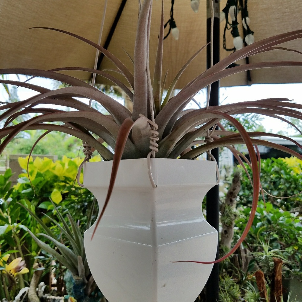 Meet your Posher, Art